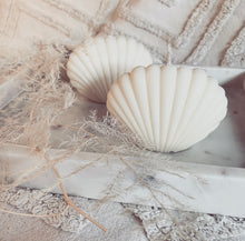 Load image into Gallery viewer, Sea Shell