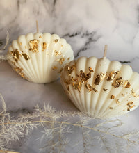 Load image into Gallery viewer, Sea Shell