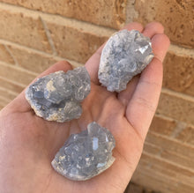 Load image into Gallery viewer, Celestite Cluster
