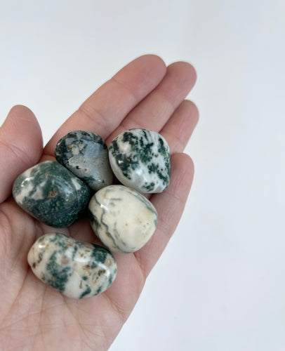 Moss Agate Tumbled Stone