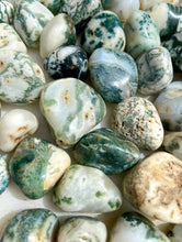 Load image into Gallery viewer, Moss Agate Tumbled Stone